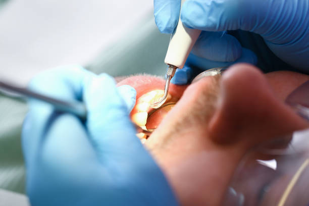 Best Emergency Orthodontic Repairs in Dandridge, TN